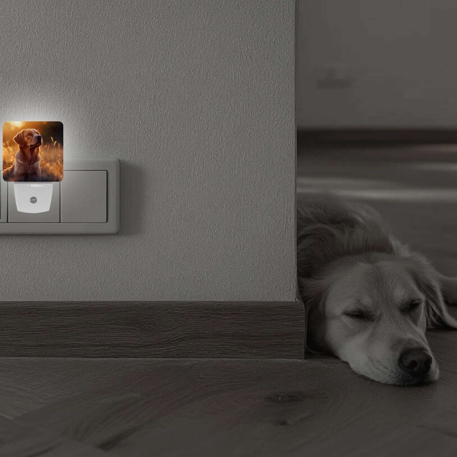 2 Pack Personalized Custom Plug-in Night Lights - LED Lamps with Picture & Text, Auto Sensor, Warm & Sweet Nightlights for Home, Bedroom, Bathroom, Hallway (DIY)