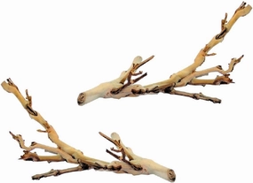 (2 Pack) Exo Terra Forest Branch, Small