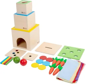Adena Montessori 6 in 1 Play Kit Toy- 3 Nesting & Stacking Boxes, Object Permanence Drop Game, Coin Box, Carrot Harvest,Tissue Box,Sticks Matching Game for 6-12 Months 1 Year Old Toddlers 2 Year