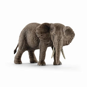 African Elephant Female