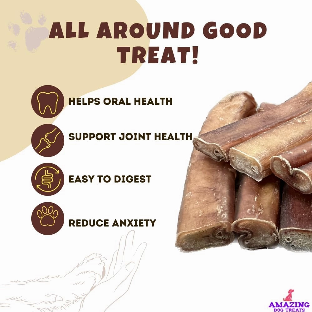 Amazing Dog Treats Bully Sticks 12 Inch - Extra Thick, Long Lasting - 5 Pcs/Pck