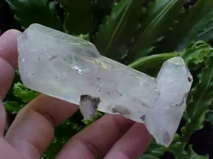 B4902 Gemqz Quartz Bridge Penetrator !