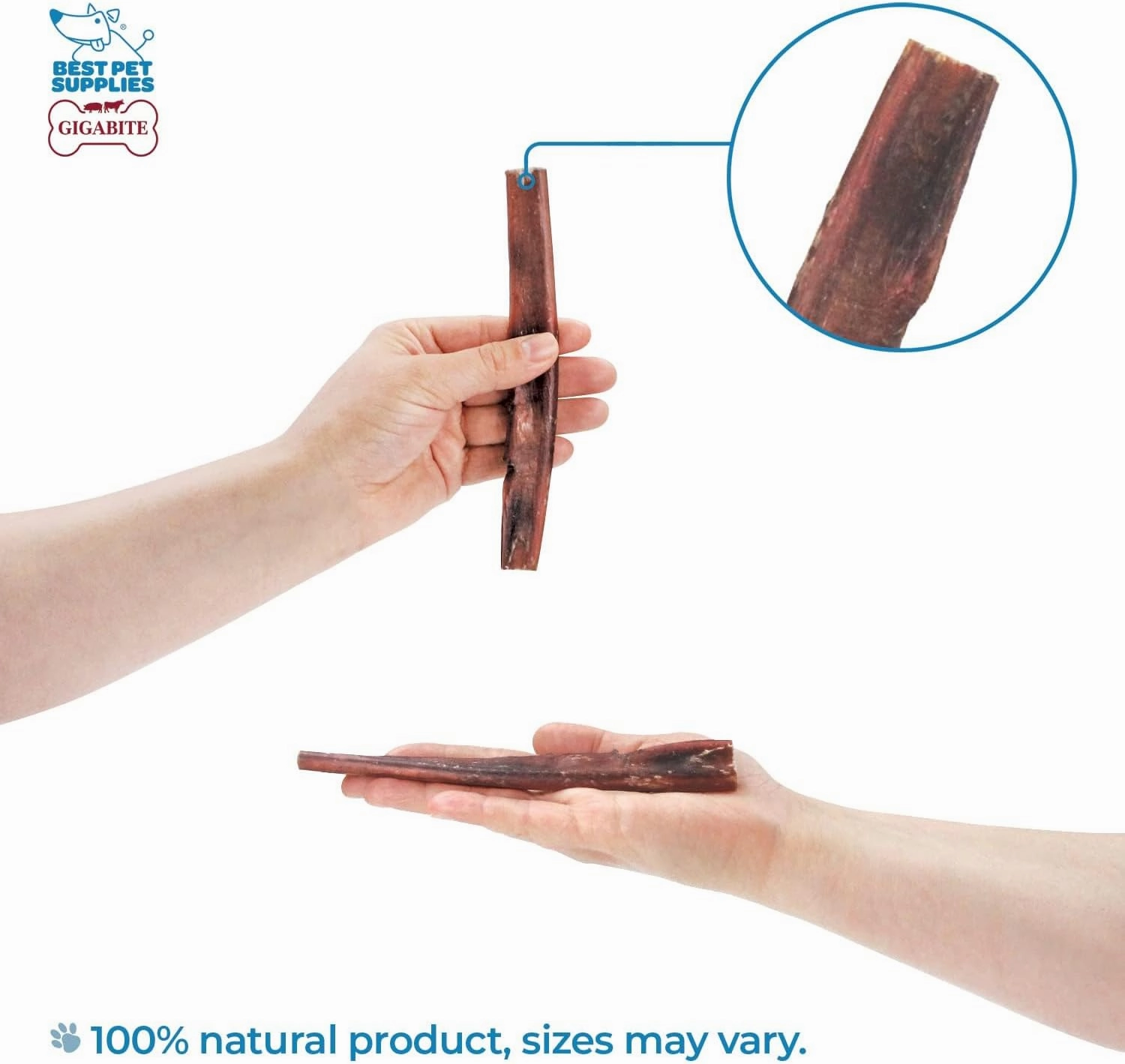 Best Pet Supplies GigaBite 6 Inch Natural Odor Bully Sticks Treats (10 Pack) All Natural, Free Range Beef Pizzle Dog Chews – by