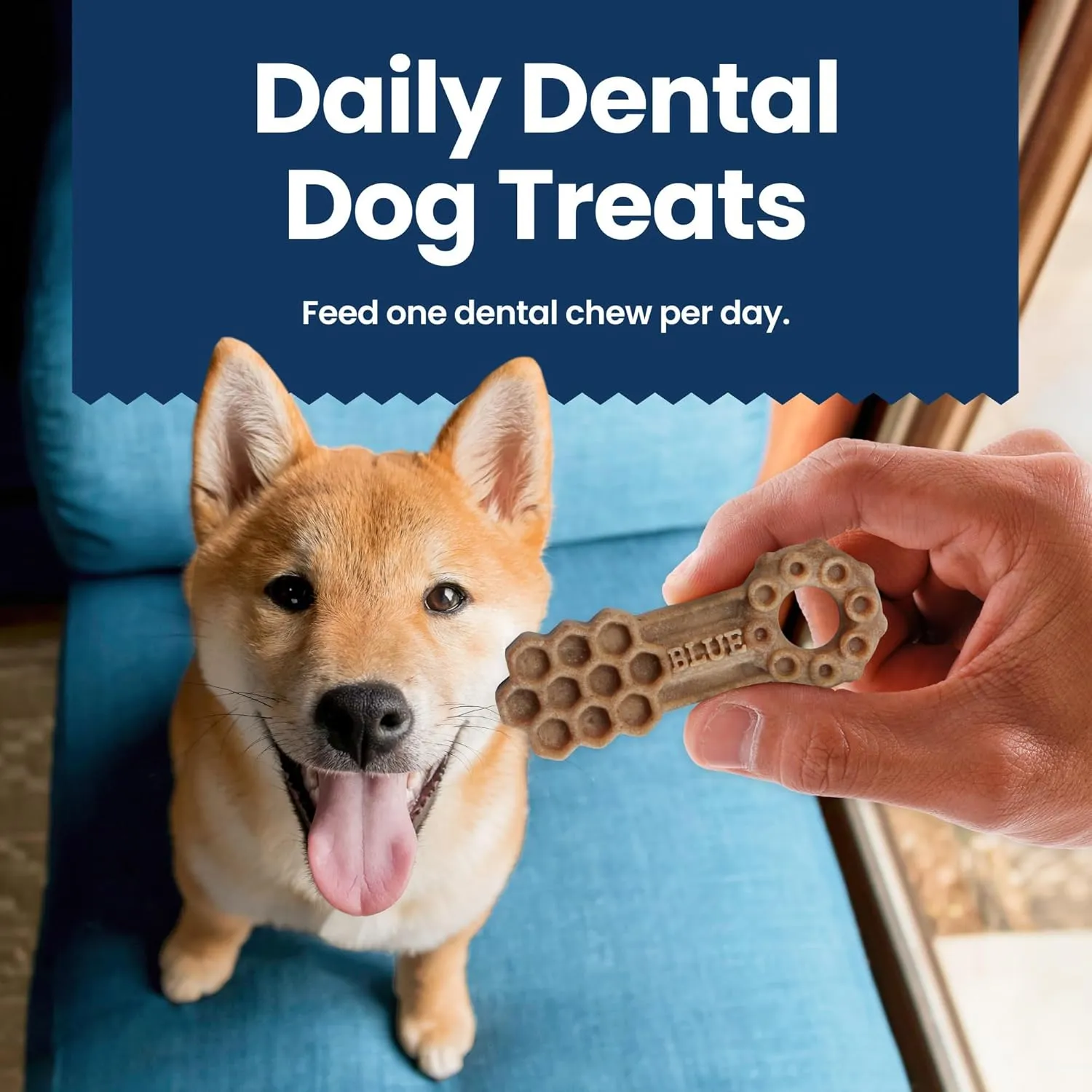 Blue Buffalo Dental Chews Medium Natural Dog Treats, Chicken & Spearmint 34.5-oz Bag (42 Count)