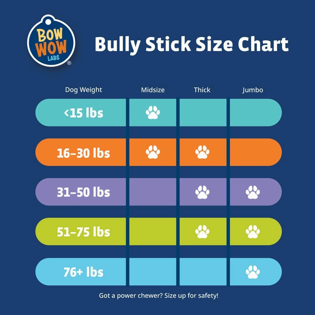 Bow Wow Labs 6" SafeFit 100% Beef Bully Sticks - 10 Pack (Jumbo)