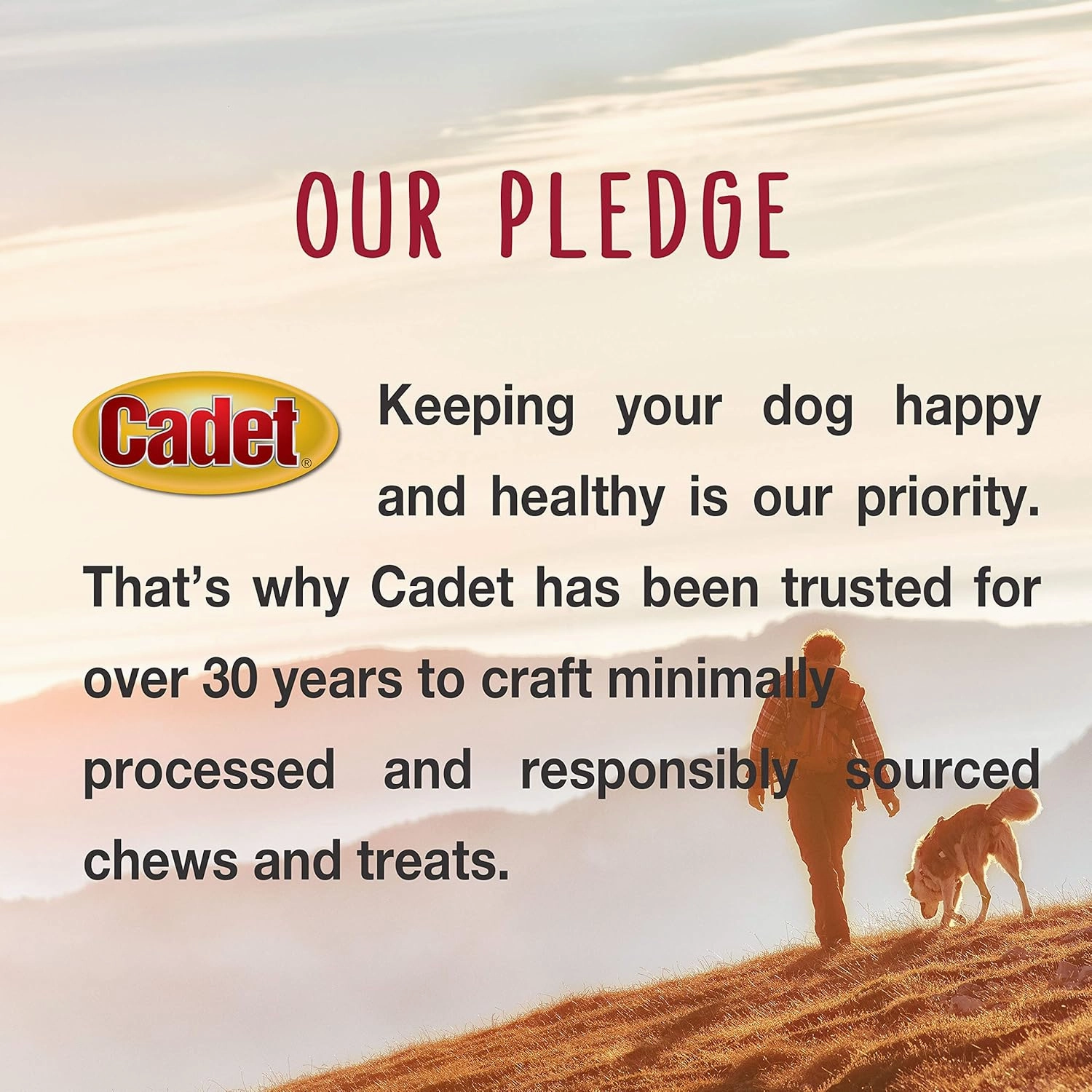 Cadet Premium Grade Beef Hide, Long-Lasting Rawhide Rolls, Single-Ingredient Dog Chews for Medium Breeds, 2 Pound