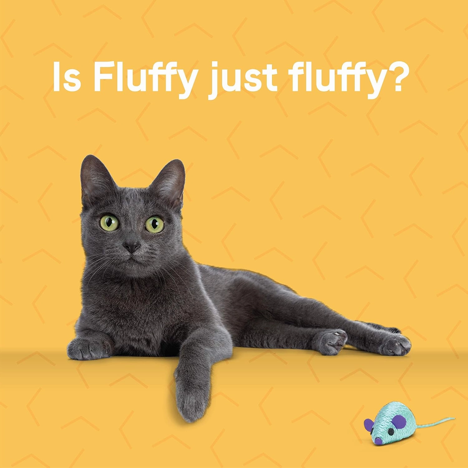 Canidae Goodness for Indoor Cats, Premium Adult Dry Cat Food with Real Whitefish, 10 lbs.
