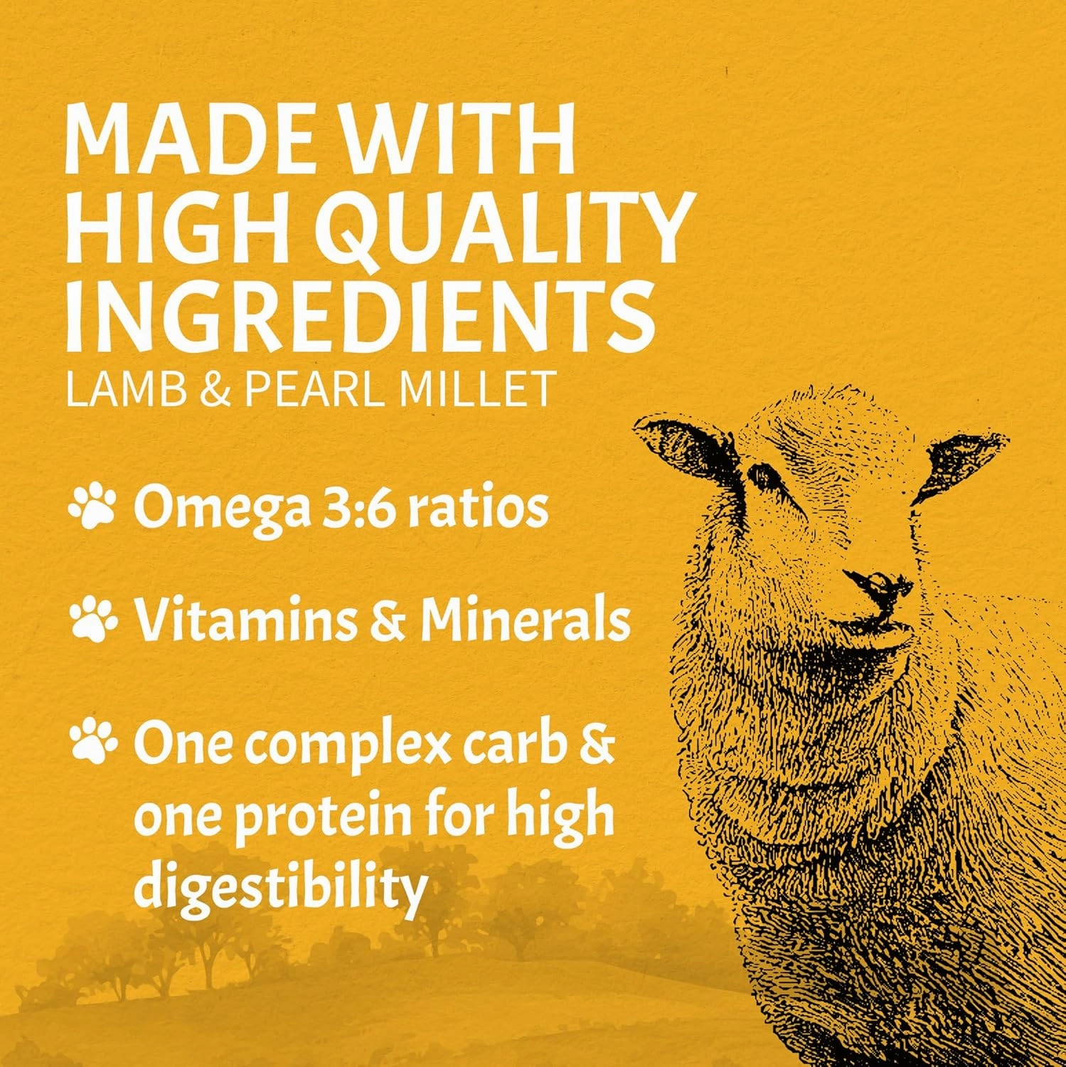 Canine Caviar - Open Meadow: Lamb & Pearl Millet Alkaline Dry Dog Food, Limited Ingredients, Gluten-Free, Based on Science & Research, Veterinary Alternative Diet (22 Pound Bag)