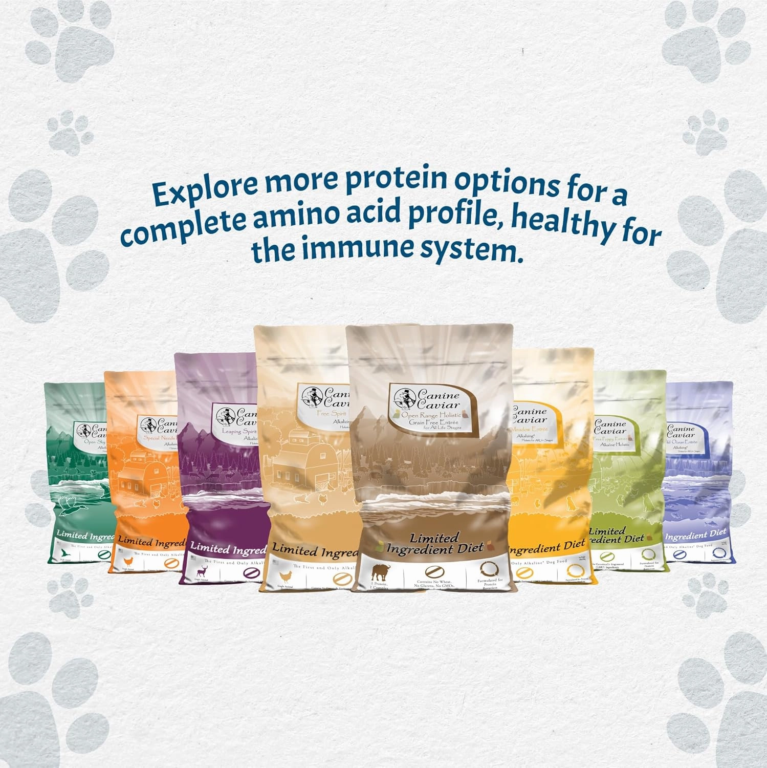 Canine Caviar - Open Meadow: Lamb & Pearl Millet Alkaline Dry Dog Food, Limited Ingredients, Gluten-Free, Based on Science & Research, Veterinary Alternative Diet (22 Pound Bag)