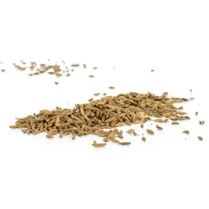 Carrot Seed - Essential Oil - Steam Distilled - 15ml