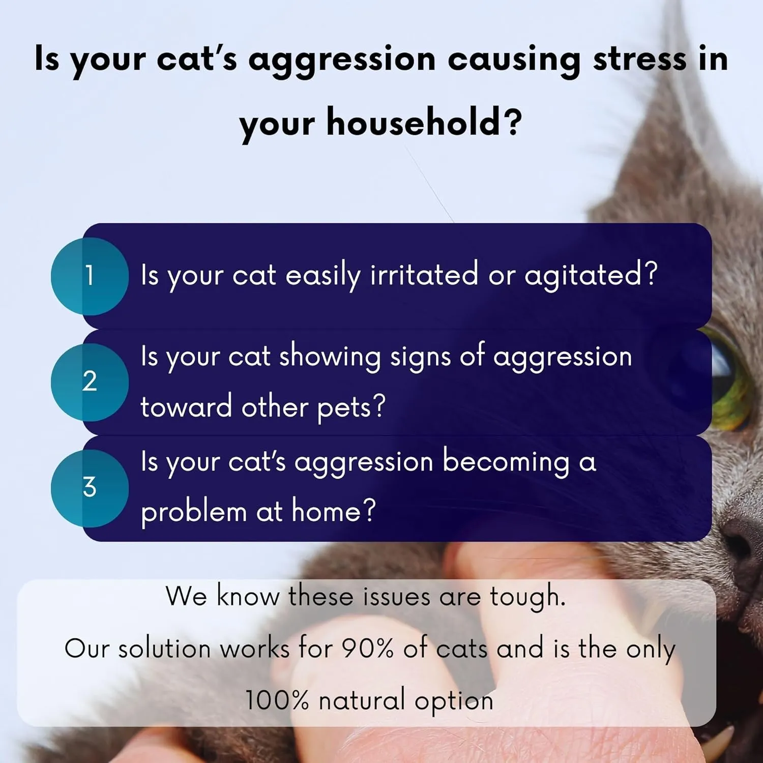 Cat Aggression Relief Calming Collar with Essential Oils, Natural Rock Diffuser, Breakaway Pet-Safe Collar for Cat Anxiety Felief, Vet-Approved (Myrrh)