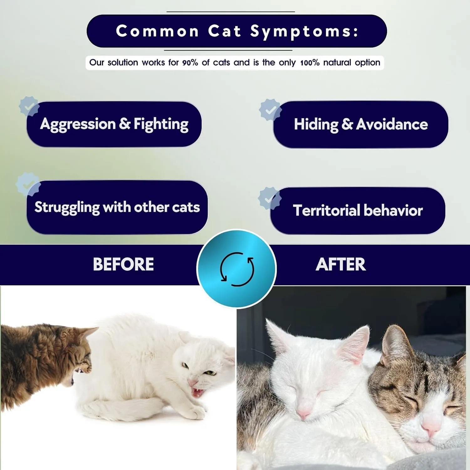 Cat Aggression Relief Calming Collar with Essential Oils, Natural Rock Diffuser, Breakaway Pet-Safe Collar for Cat Anxiety Felief, Vet-Approved (Myrrh)