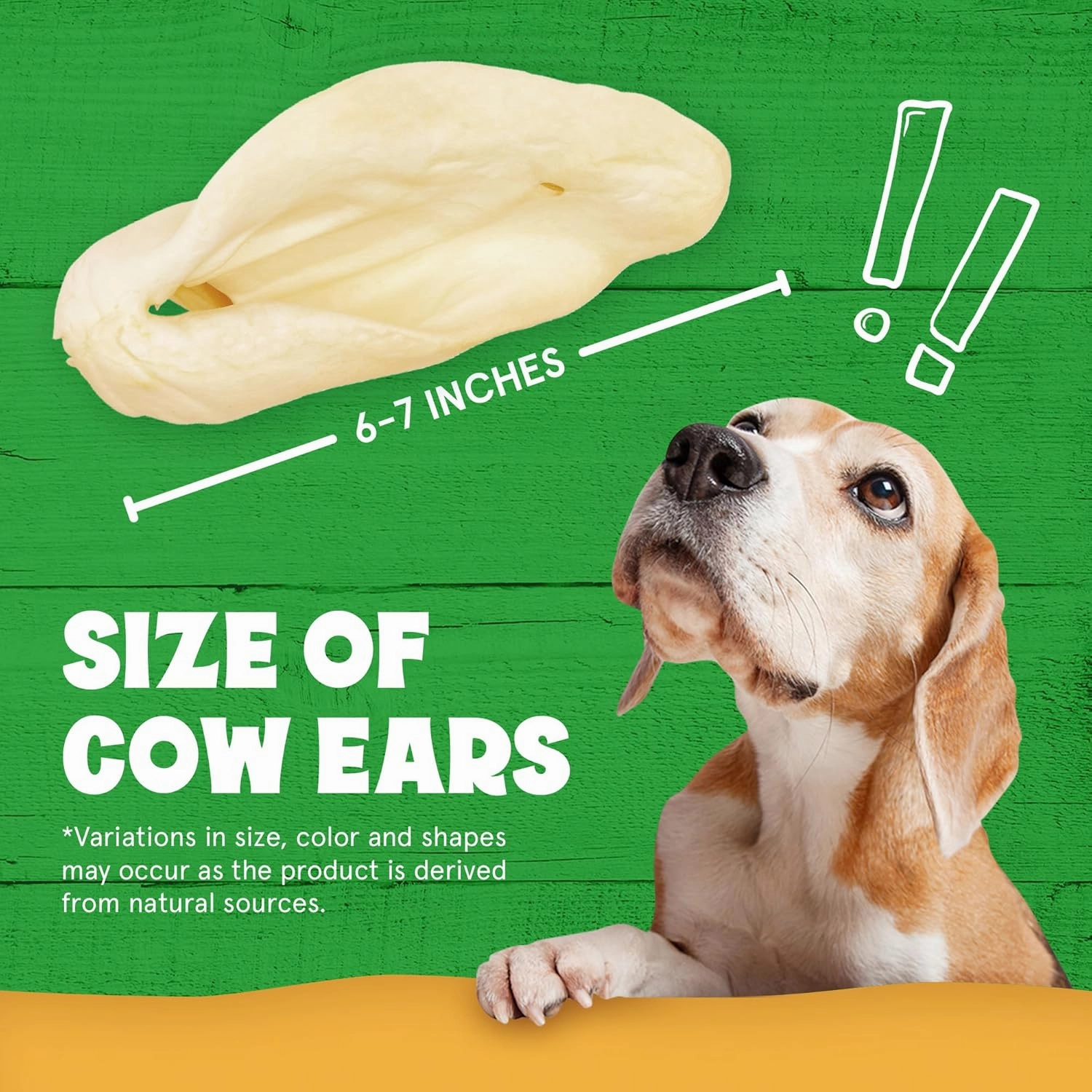 Cows Ears for Dogs, Thick and Large Dog Ears, Single Ingredient and No Odor Cow Treats, Long Lasting Cow Ears, Natural & Grass-fed Dog Treat Animal Ears, Cow Ears for Puppies and All Breeds (30 Pack)