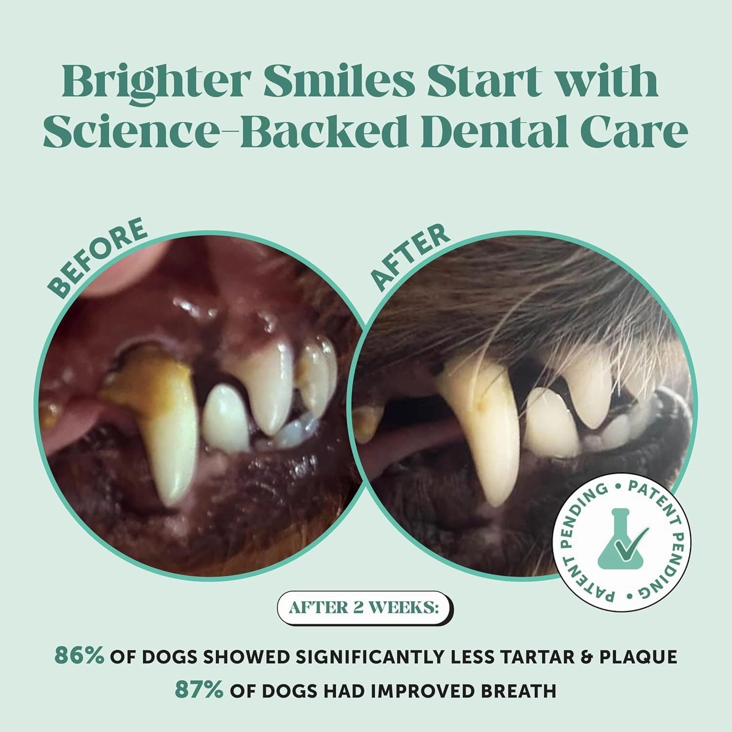 Dog Breath Freshener Dental Powder for Teeth Cleaning Plaque Off, Dental Care for Large Dogs, Tartar Remover for Teeth with Natural Herbal Blend   Postbiotics (Mint - 60 Servings)