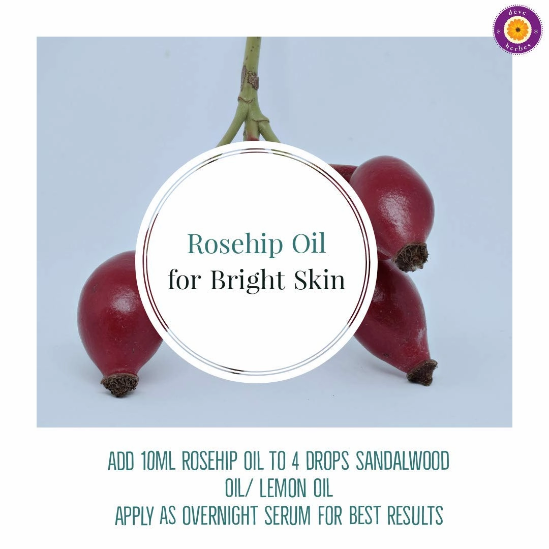dève herbes Pure Rosehip Oil (Rosa rubiginosa) Cold Pressed 100ml (3.38oz)
