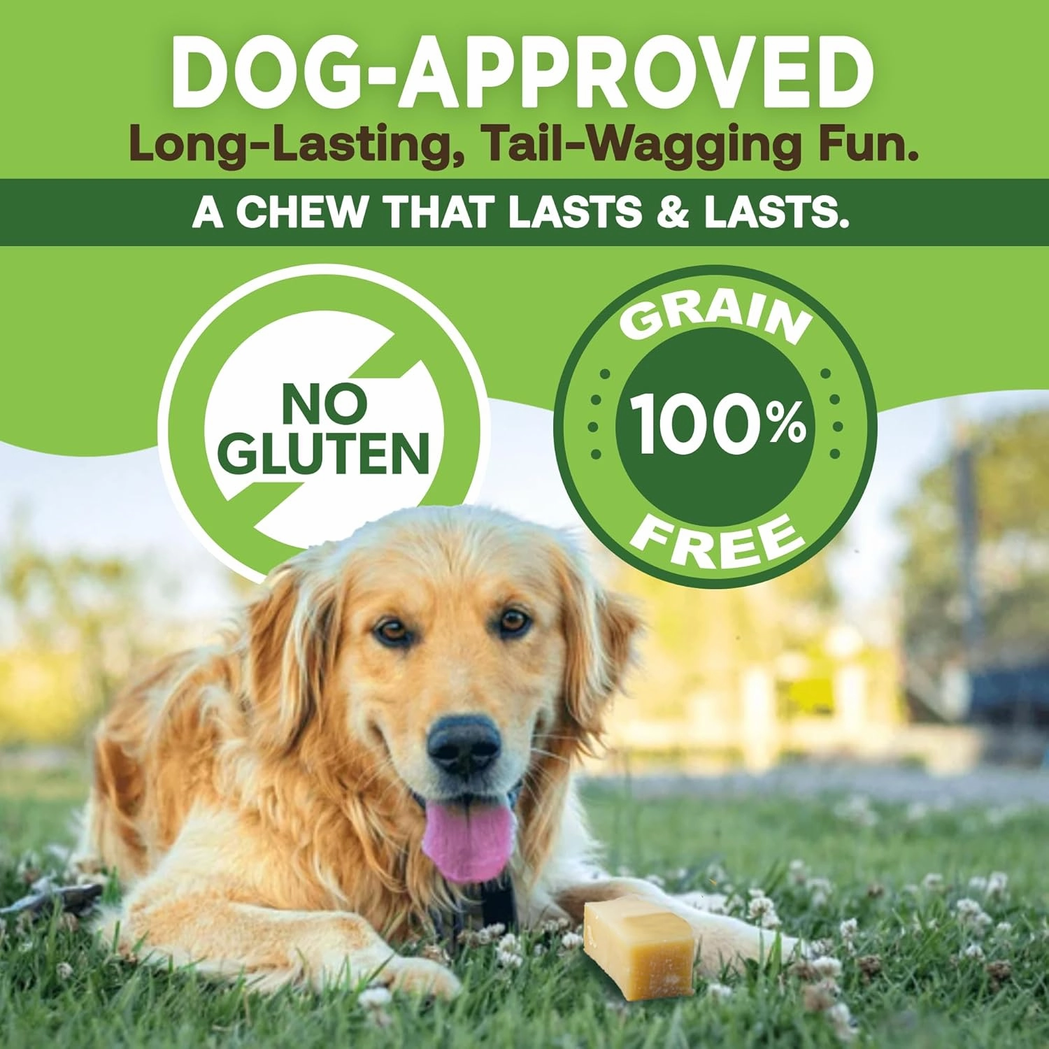 EcoKind Premium Gold Yak Cheese Himalayan Dog Chews, Dog Treats Large Breed, All Natural, High Protein, for Aggressive Chewers, Large - 20  Chews (5 lb)