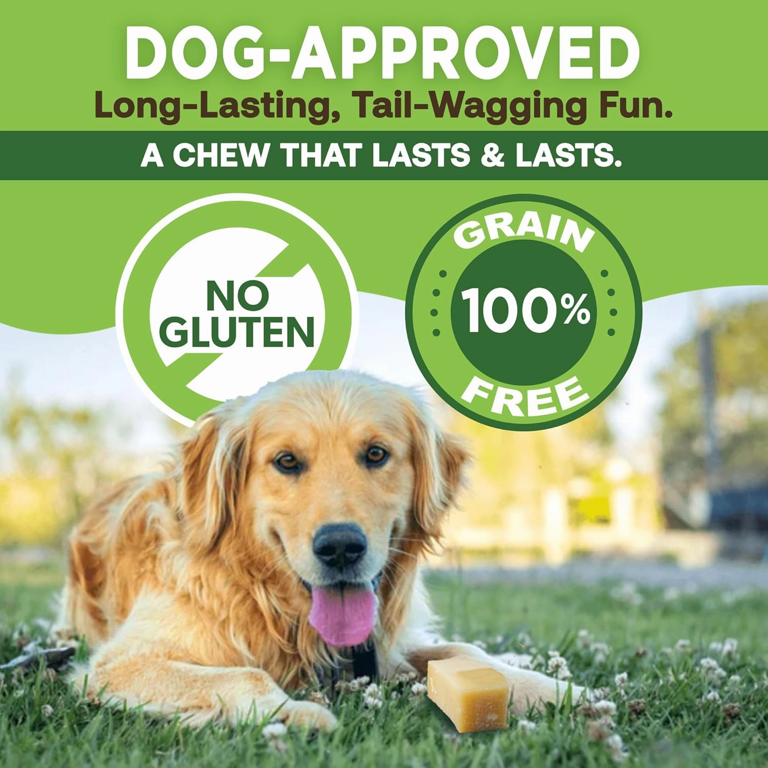 EcoKind Premium Gold Yak Cheese Himalayan Dog Chews, Dog Treats Large Breed, All Natural, High Protein, for Aggressive Chewers, Large - 4 Chews (1 lb)