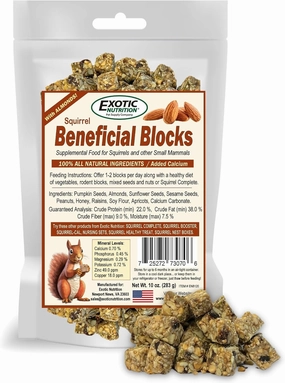 Exotic Nutrition Beneficial Blocks (10 oz.) - Healthy & Unique Supplemental Food with Nuts & Seeds for Squirrels
