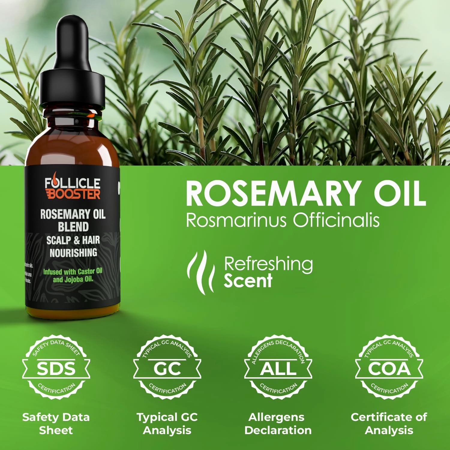 Follicle Booster Rosemary Oil Blend - Mint, Castor, Jojoba & Biotin added - Supports Hair Growth, Strengthens Follicles, Nourishes Scalp - For Adults & Teens - 3 Pack