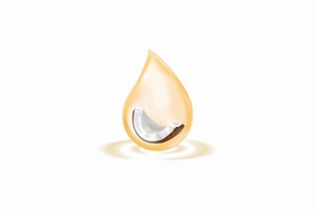 Fractionated Coconut Oil MCT
