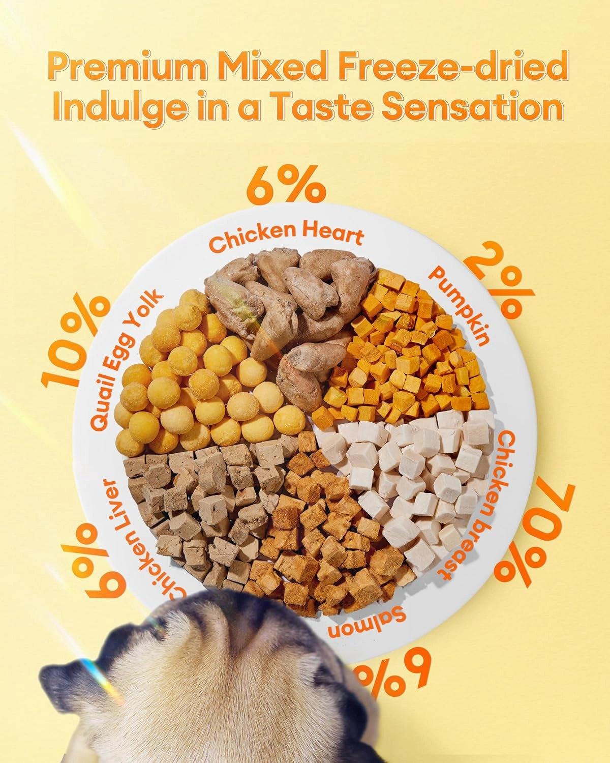 Freeze Dried Treats for Cats & Dogs, 17.6 oz Sealed Box – Bite-Sized, Protein-Packed with Chicken, Quail Egg Yolk, Hearts, Liver, Salmonr, Pumpkin – Natural, Additive-Free Training Snacks