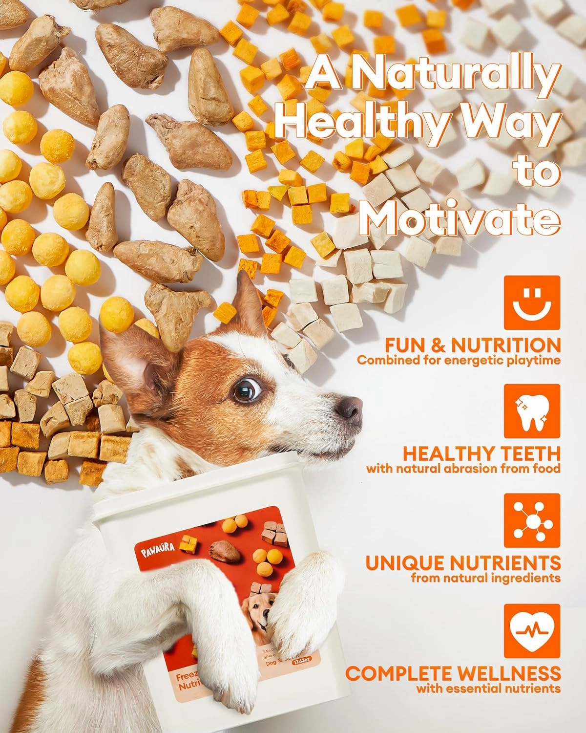Freeze Dried Treats for Cats & Dogs, 17.6 oz Sealed Box – Bite-Sized, Protein-Packed with Chicken, Quail Egg Yolk, Hearts, Liver, Salmonr, Pumpkin – Natural, Additive-Free Training Snacks