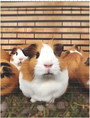 Guinea Pigs Building Block Puzzle Personalized Building Bricks for Adults Block Puzzle Building DIY Brick Block Puzzles Valentine's Day Gifts for Home Decor Brick Puzzle