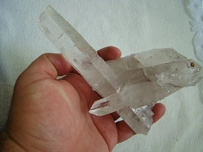Ham2501 Complex Penetrators Laser Lemurian Quartz Cluster