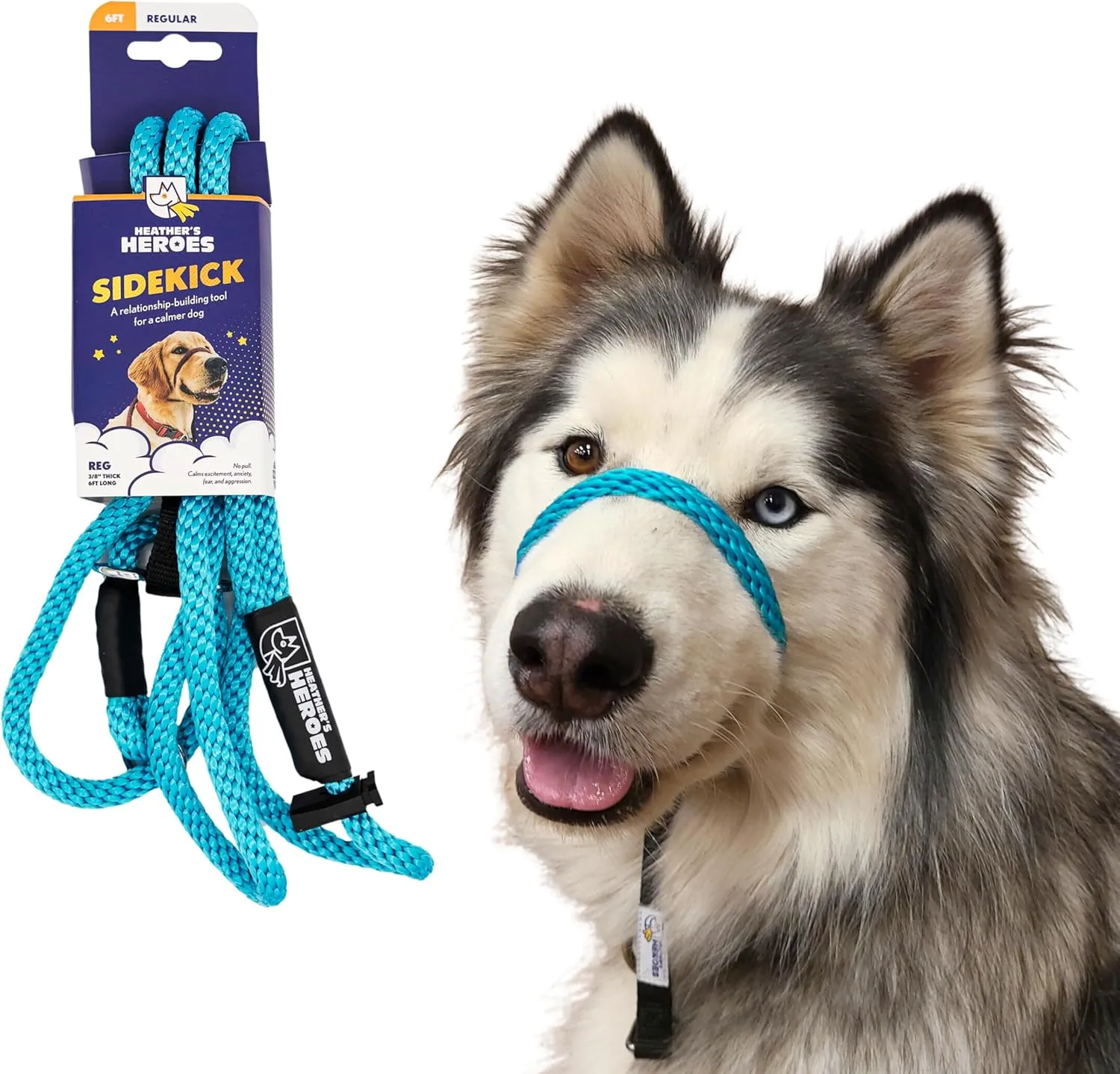 Heather's Heroes Sidekick Dog Headcollar with Leash - Effective Dog Training Tool for Leash Reactivity and Behavior Issues (Regular (3/8"), Turquoise)