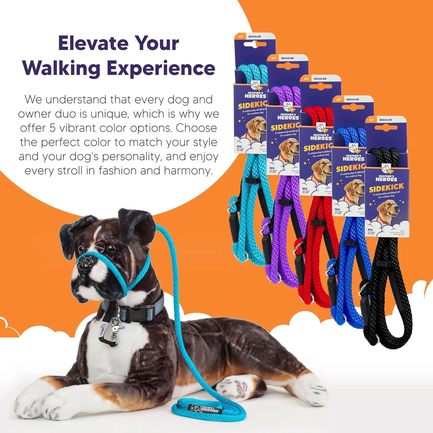 Heather's Heroes Sidekick Dog Headcollar with Leash - Effective Dog Training Tool for Leash Reactivity and Behavior Issues (Regular (3/8"), Turquoise)