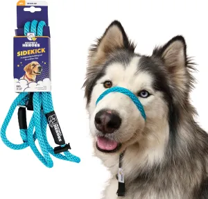 Heather's Heroes Sidekick Dog Headcollar with Leash - Effective Dog Training Tool for Leash Reactivity and Behavior Issues (Regular (3/8"), Turquoise)