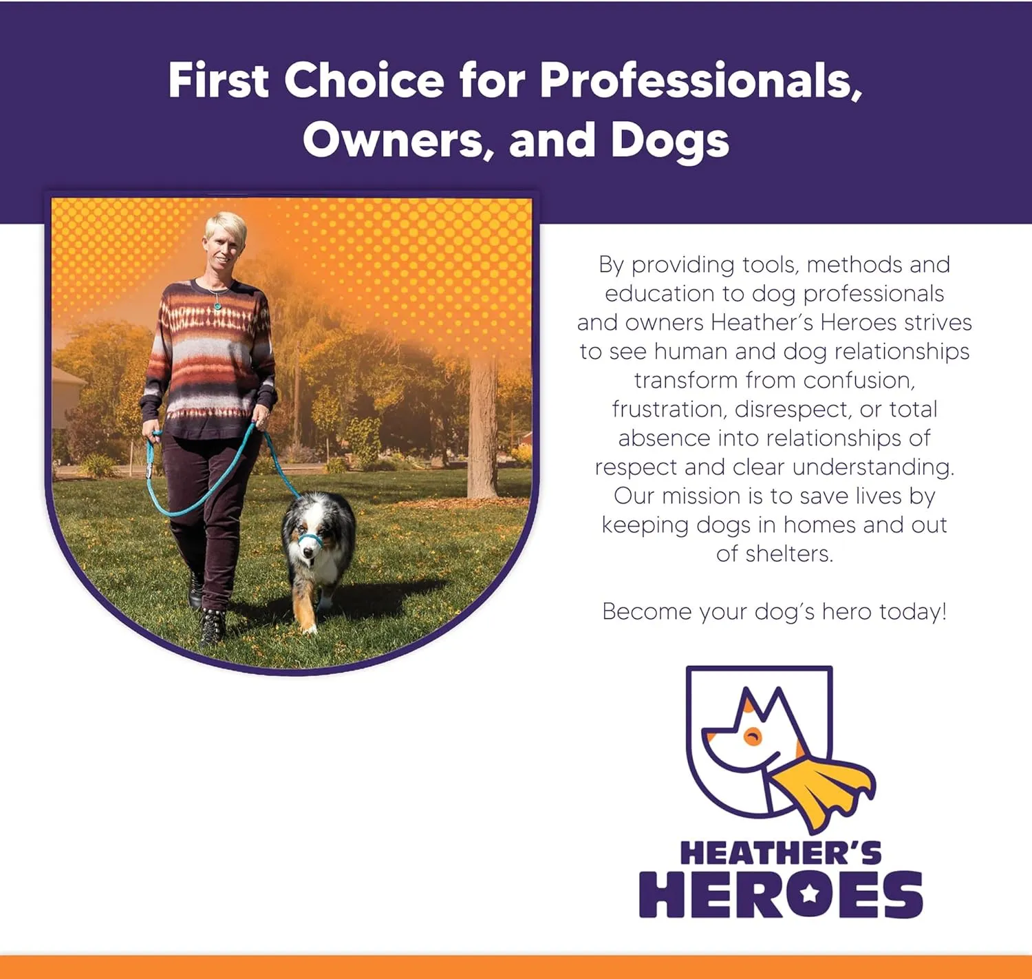 Heather's Heroes Sidekick Dog Headcollar with Leash - Effective Dog Training Tool for Leash Reactivity and Behavior Issues (Regular (3/8"), Turquoise)