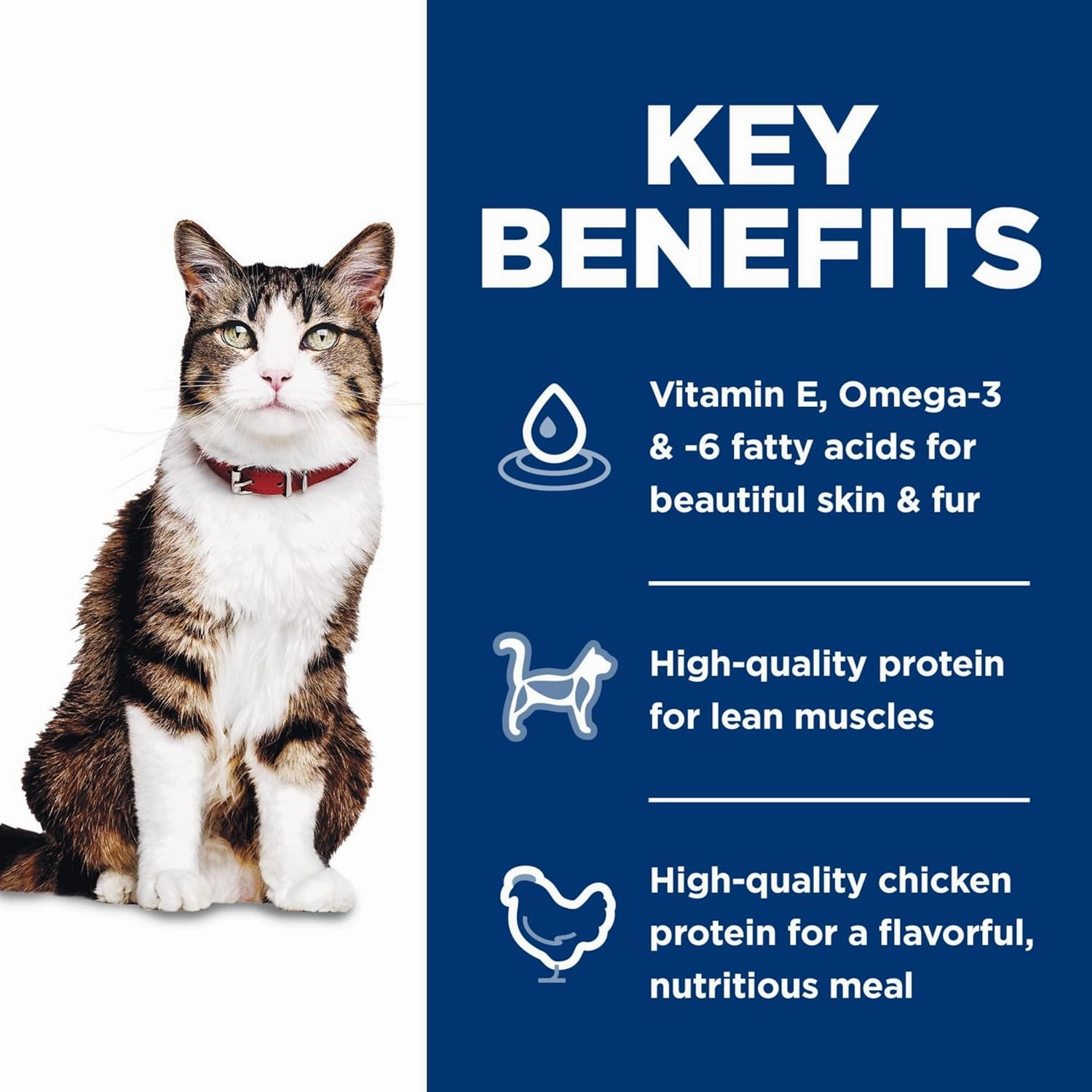 Hill's Science Diet Hairball Control, Adult 1-6, Hairball Control Support, Dry Cat Food, Chicken Recipe, 7 lb Bag