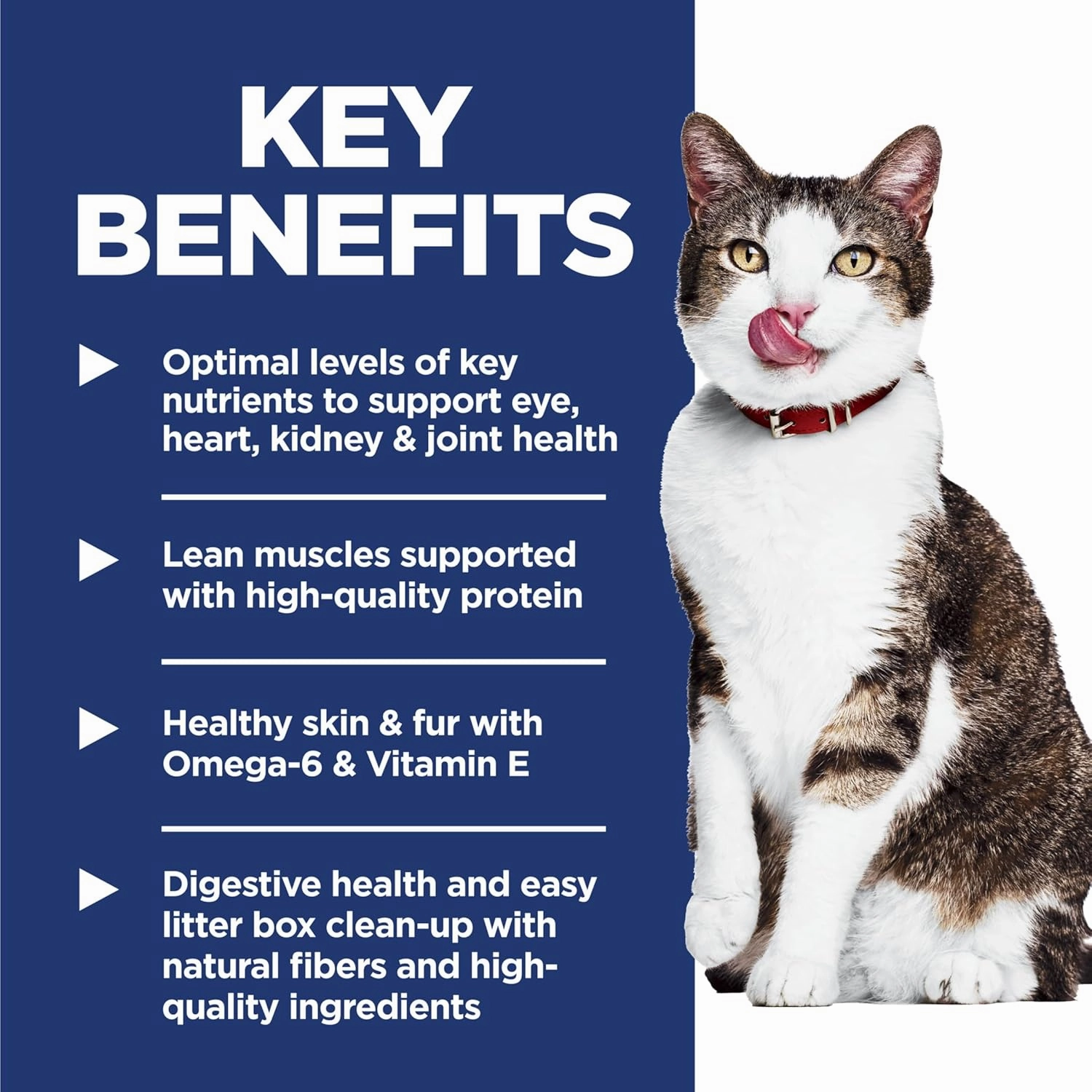 Hill's Science Diet Indoor, Senior Adult 11 , Easy Litter Box Cleanup, Dry Cat Food, Chicken Recipe, 3.5 lb Bag