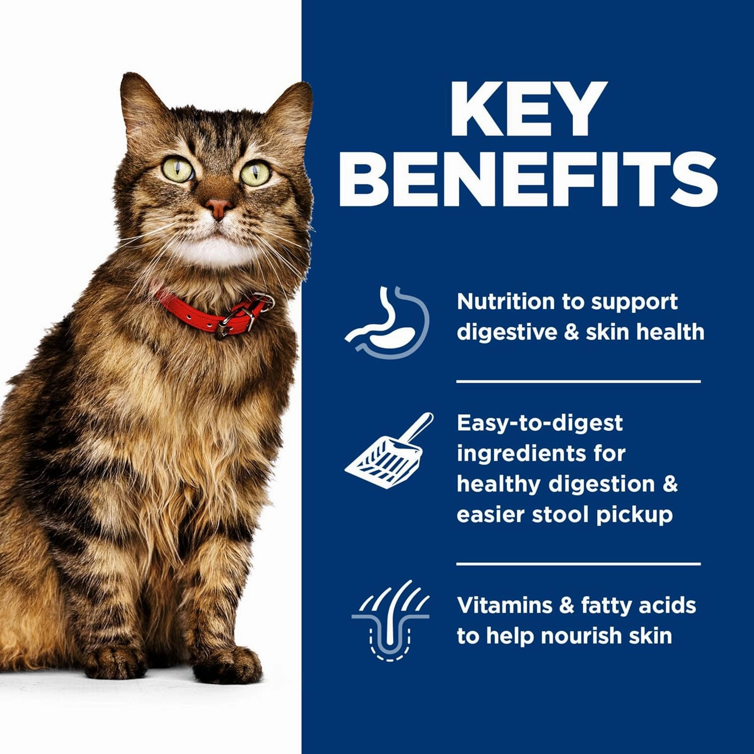 Hill's Science Diet Sensitive Stomach & Skin, Adult 1-6, Stomach & Skin Sensitivity Support, Wet Cat Food, Variety Pack: Chicken; Tuna Minced, 2.9 oz Can Variety Pack, Case of 12