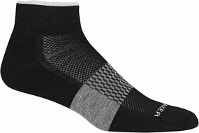 Icebreaker Merino Men's Multisport Light Cushion Mini Sock