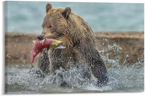 Jigsaw Puzzle 500 Piece Adult Puzzle River Bear Catching Salmon Fish Christmas Adult Kids Intelligence Game Toy Family Friend Puzzle Gift