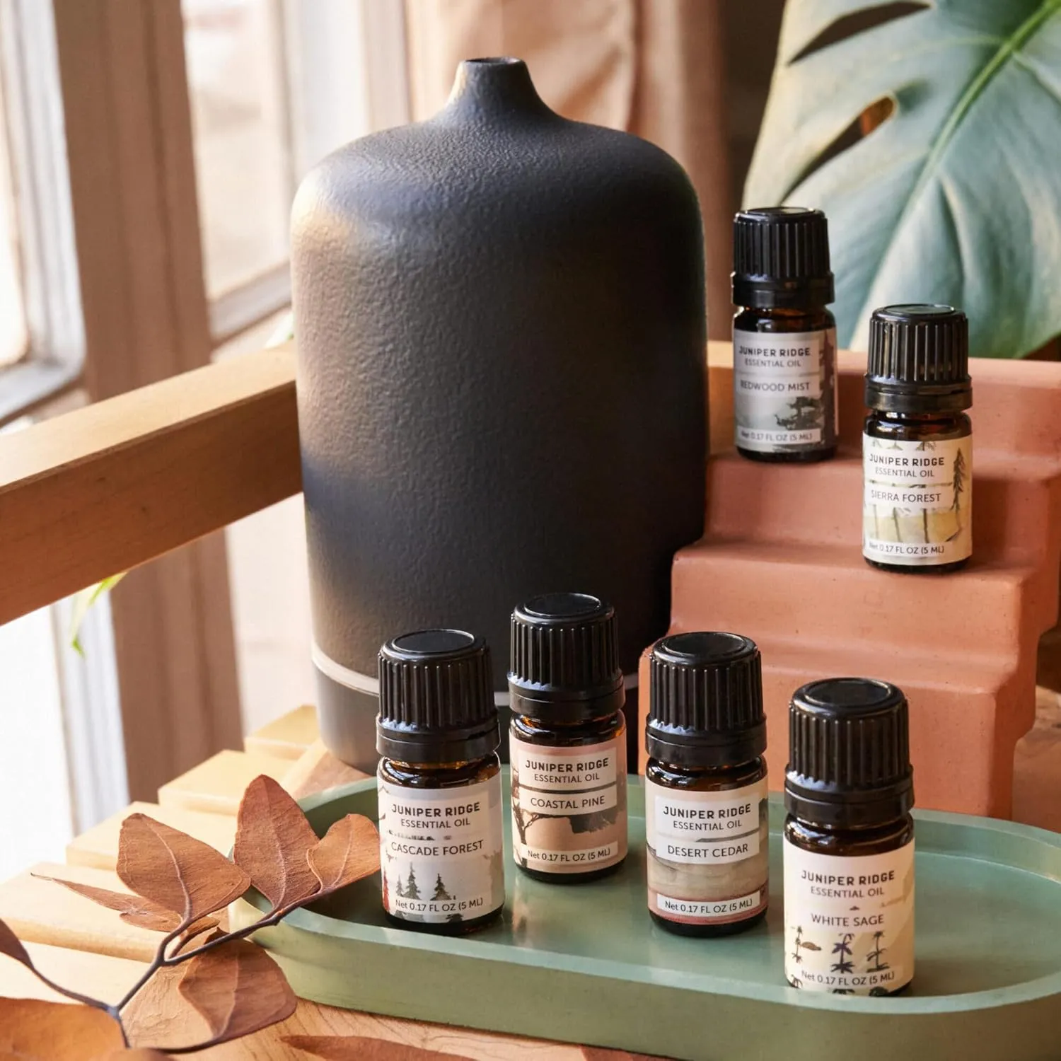 Juniper Ridge Coastal Pine Essential Oil - Refreshing Fragrance with Pine, Citrusy Conifer, & Ocean Air Notes - 5ml - Packaging May Vary