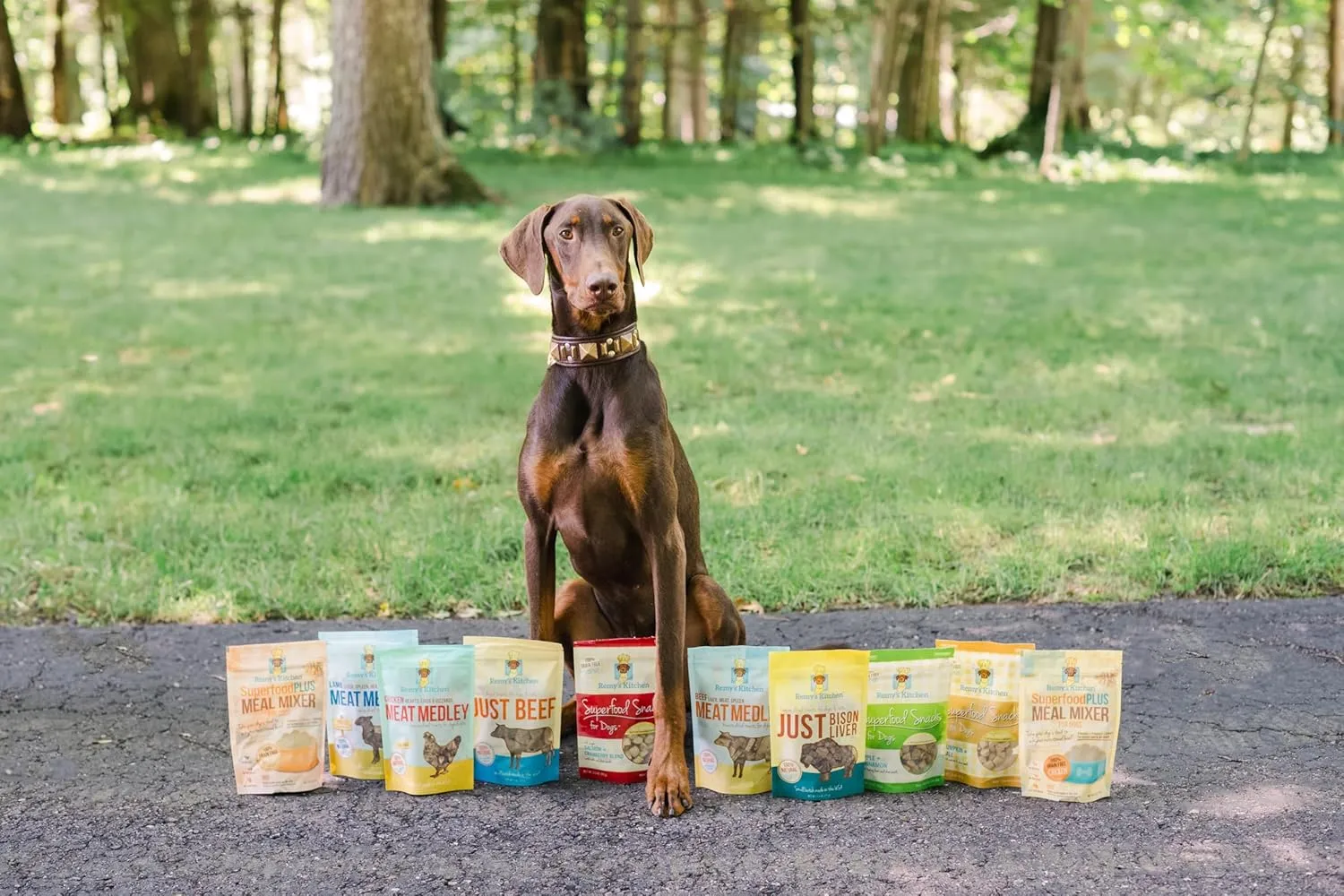 Just Turkey, Bison, Beef Freeze Dried Dog Treats USA Sourced and Small Batch -Human-Grade, All Natural Single Ingredient Dog Treat without Artificial Preservatives, Grain Free -9oz, 3-Pack
