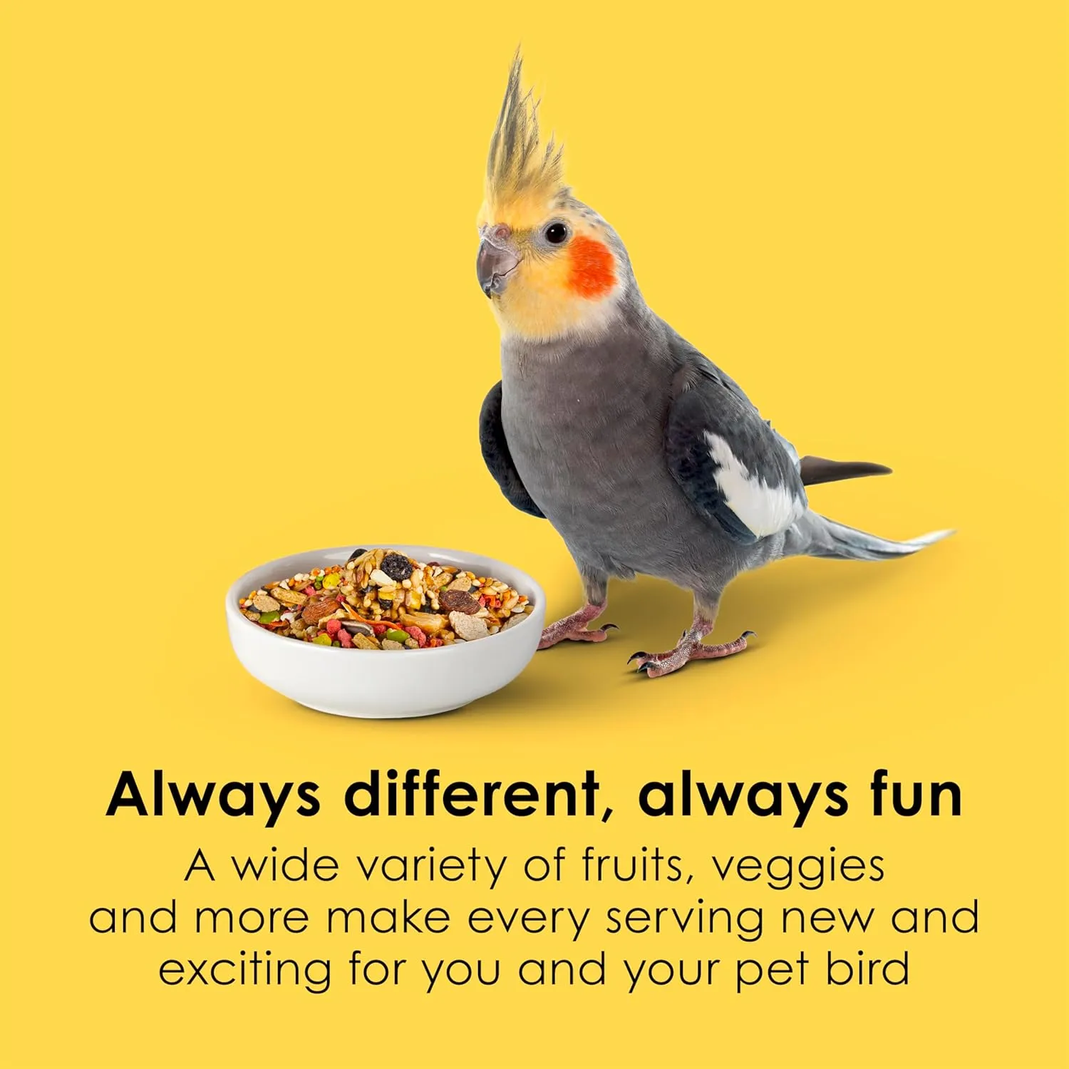 Kaytee Fiesta Cockatiel Food, Nutritious and Fun Blend, Supports Skin, Feather, Digestion, Brain and Heart Health, 4.5 pounds
