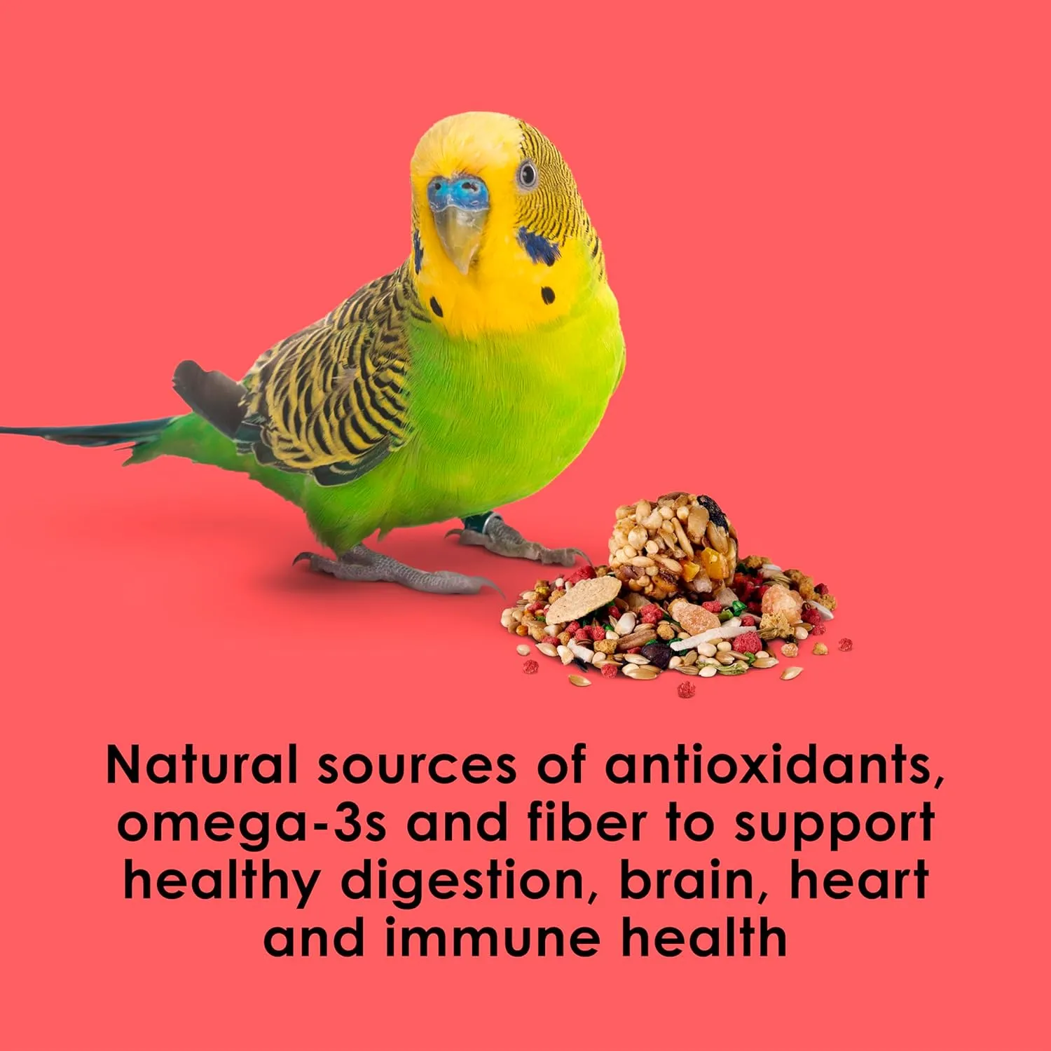 Kaytee Fiesta Parakeet Food, Nutritious and Fun Blend, Supports Skin, Feather, Digestion, Brain and Heart Health, 4.5 pounds