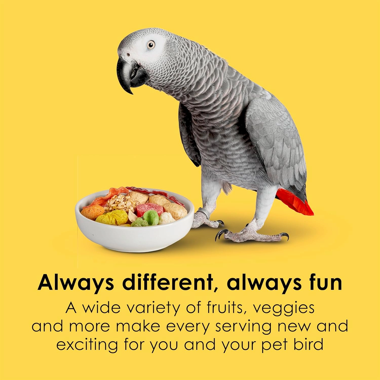 Kaytee Fiesta Parrot Food, Nutritious and Fun Blend, Supports Skin, Feather, Digestion, Brain and Heart Health, 4.5 pounds