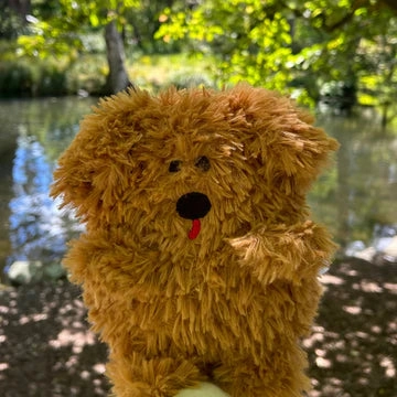 Little Joys - Stuffed Animals - 8 Assorted Styles