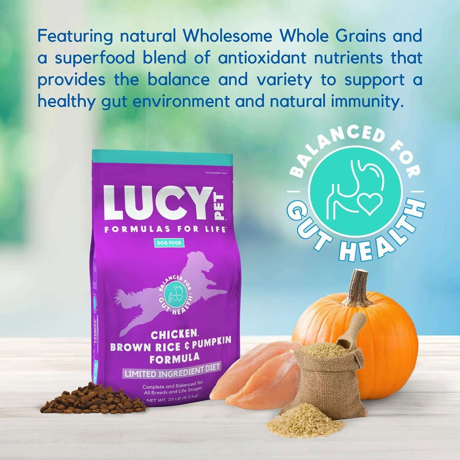 Lucy Pet Products Lucy Pet Formulas for Life - Limited Ingredient Diet Dry Dog Food, All Breeds & Life Stages - Chicken, Brown Rice & Pumpkin