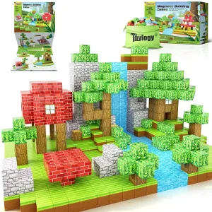 Minecraft Magnetic Building Blocks