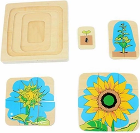 Montessori Children Wood Plant Education Toy Baby Toddler Life Cycle of Sunflower Puzzles Jingsaw Preschool Brinquedos Juguets