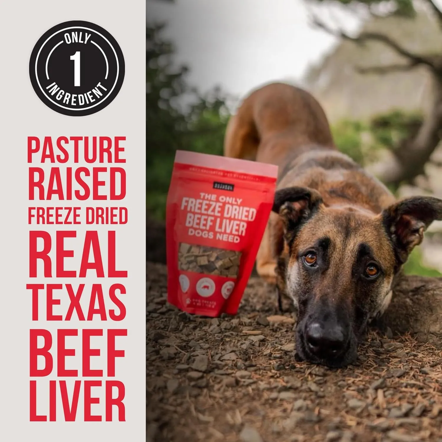 Natural Rapport Beef Liver Dog Treats - The Only Freeze Dried Beef Liver Dogs Need - Grain-Free Beef Bites, Dog Treats for Small and Large Dogs (8 oz.)