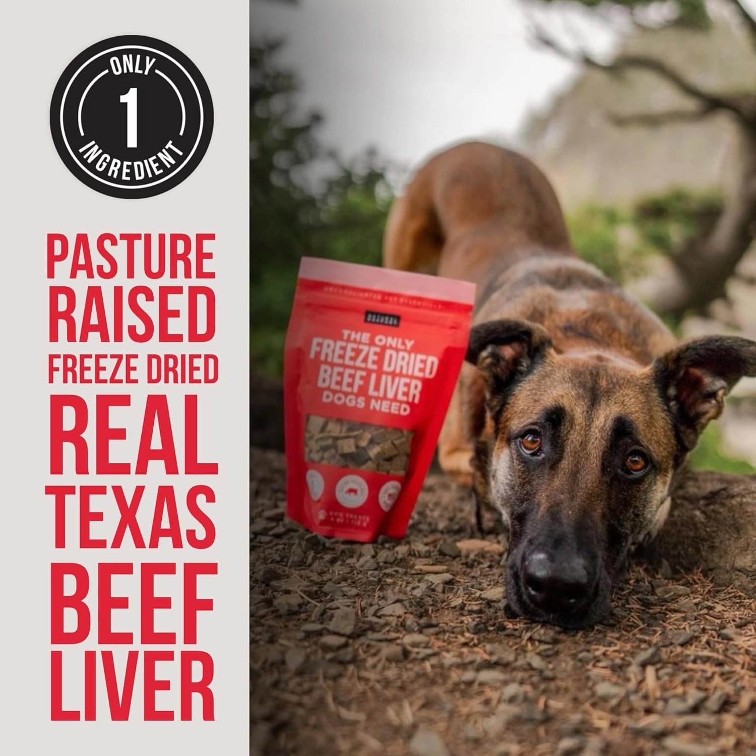 Natural Rapport Beef Liver Dog Treats - The Only Freeze Dried Beef Liver Dogs Need - Grain-Free Beef Bites, Dog Treats for Small and Large Dogs (8 oz.)