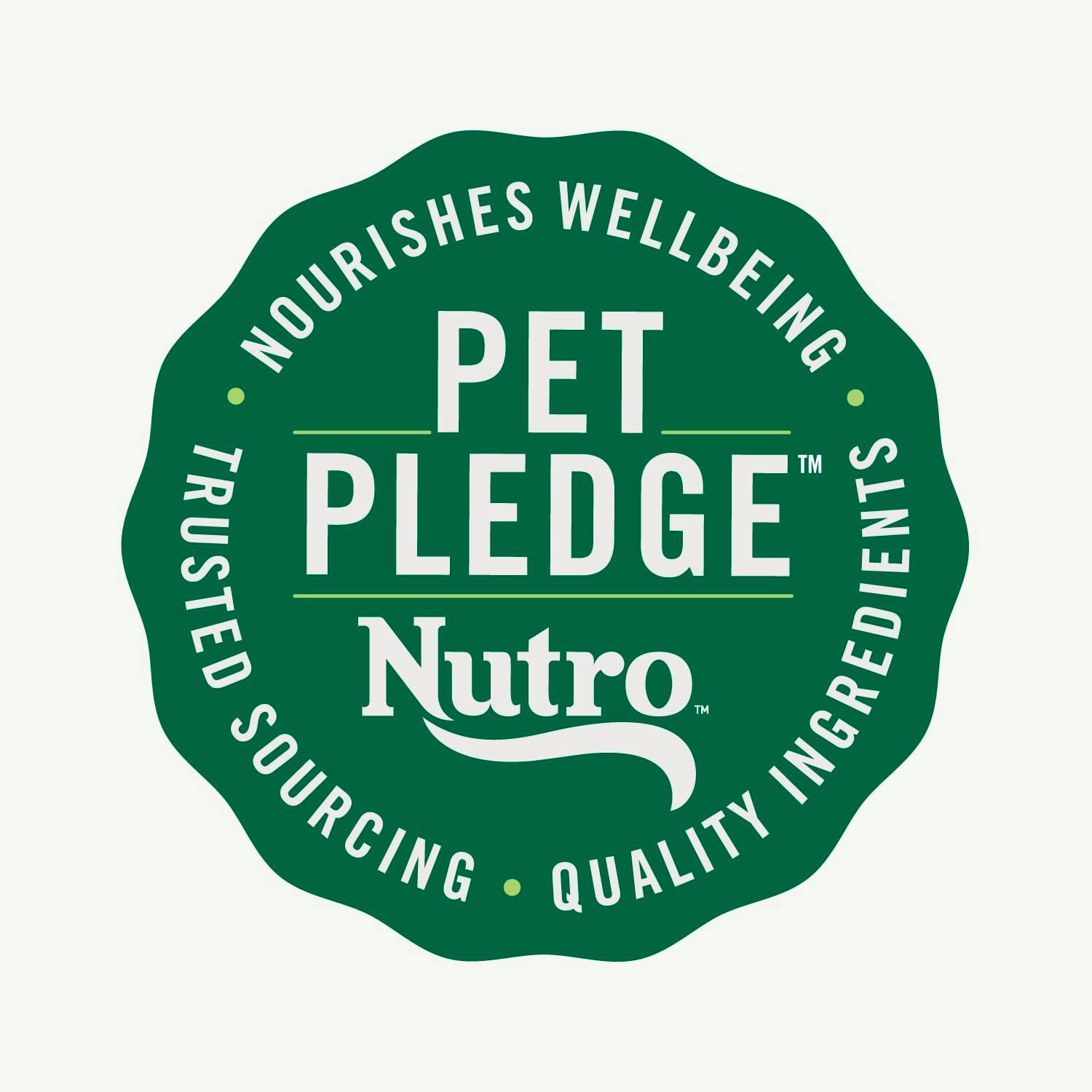Nutro Natural Choice Adult Dry Dog Food, Chicken and Brown Rice Recipe 13 lbs.
