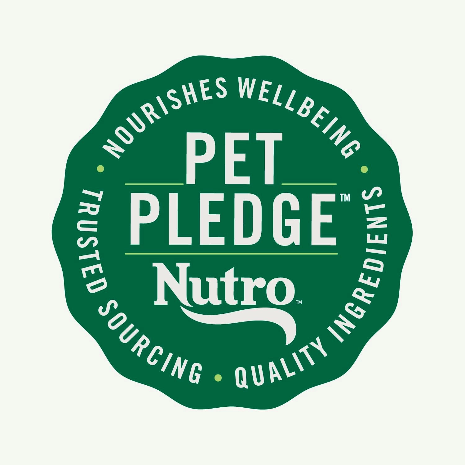 Nutro Natural Choice Adult Small Breed Dry Dog Food, Chicken and Brown Rice, 13 lbs.